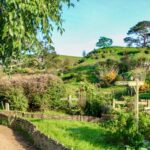 My New Zealand North Island Road Trip Itinerary